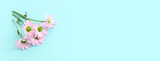 Top view image of pink flowers composition over pastel blue background