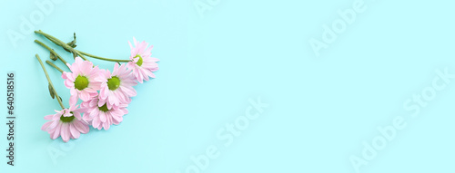 Top view image of pink flowers composition over pastel blue background © tomertu