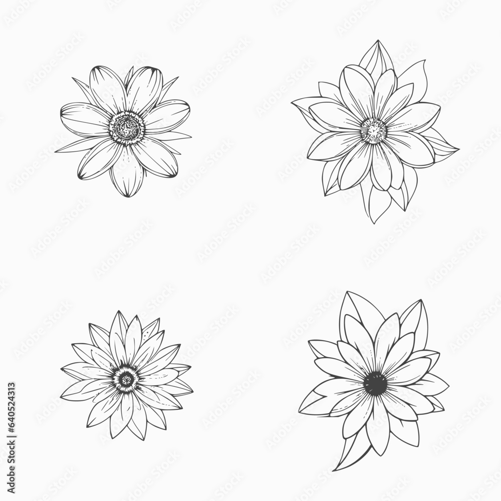 set of flowers vector isolated on white background