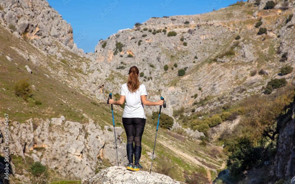 Hiker woman, sports clothings, admiring mountain