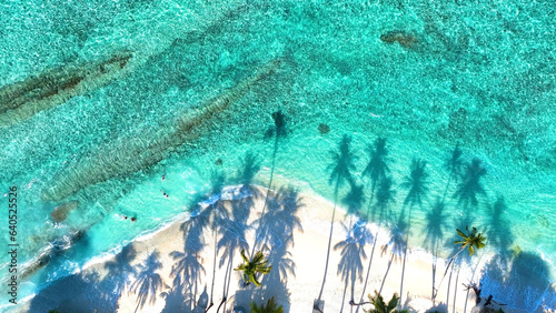 Summer palm tree and Tropical beach with blue sky background