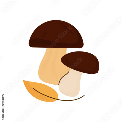 Composition of two raw edible mushrooms with yellow fall leaf. Fresh boletus fungi. Porcini mushroom. Natural forest food. Colorful flat vector illustration with watercolor texture