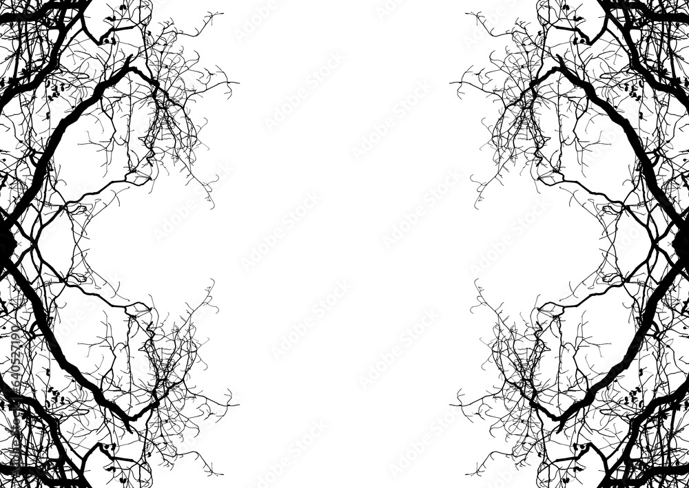 Obraz premium Bare tree branches silhouette on white background