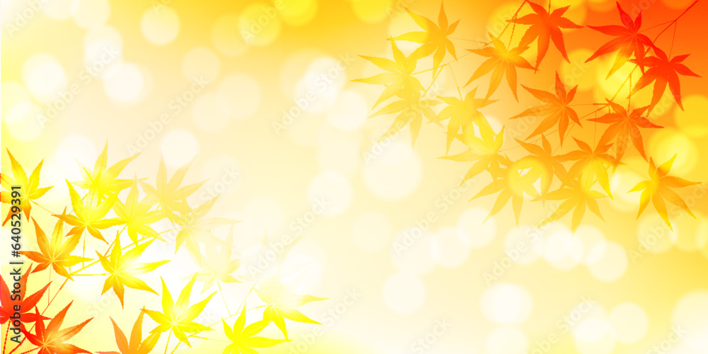 紅葉 もみじ 秋 背景 紅葉 もみじ 秋 背景