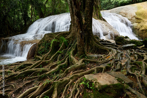 Scenic view of waterfall in forest photo