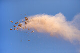 Flying rock debris and dust cloud against blue sky