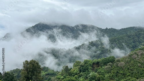 Scenic view of misty mountain in winter season at Doi Pha Hee, Chiang Rai, Thailand.