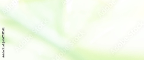 Light green bokeh nature background, colorful soft light background, abstract trendy color gradient texture background.