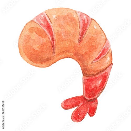 shrimp watercolor style, ingredient of shabu shabu hotpot
