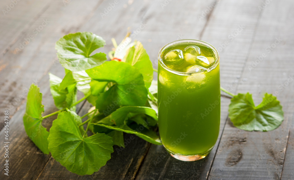 Gotu kola drink, Centella asiatica juice,heart tonic, Asiatic leaf juice Gotu kola drink, Centella asiatica juice,heart tonic, Asiatic leaf juice