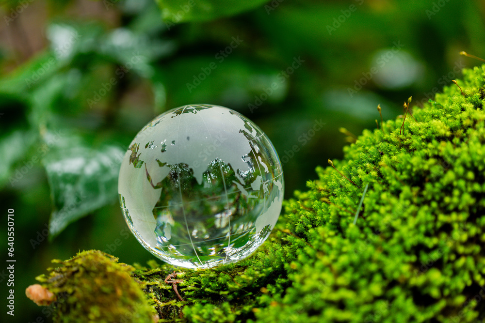 Environment. Glass globe on grass moss in forest, Green planet with abstract defocused bokeh lights, Environmental conservation concept. Elements of this image furnished by NASA