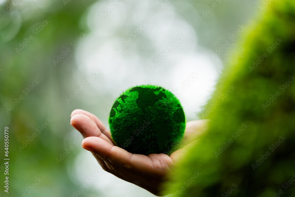 Hands holding green globe in green forest. Forest conservation concept. Environment concept. Elements of this image furnished by NASA Hands holding green globe in green forest. Forest conservation concept. Environment concept. Elements of this image furnished by NASA