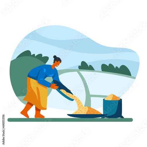 Asian female holding big plate with rice and pour product onto large plate. Sifting the collected cereals and cleaning. Harvesting on field. Flat vector illustration in cartoon style