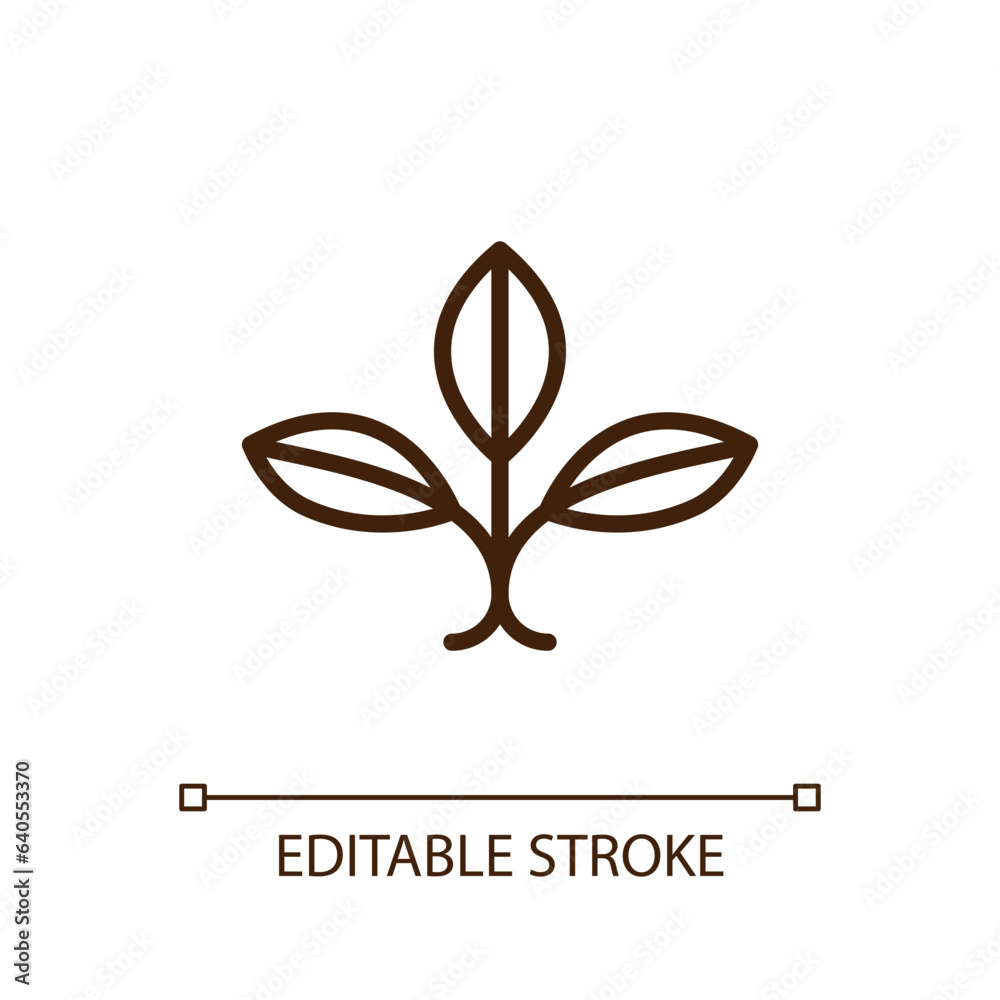 Plant seedling linear icon. Environmental friendly. Healthy living. Organic product. Garden center. Clean planet. Thin line illustration. Contour symbol. Vector outline drawing. Editable stroke