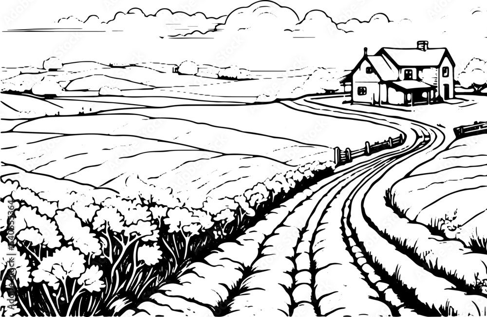 Fototapeta premium Coloring Page - Vectorized