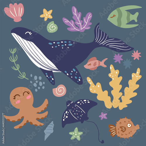 Shellfish, whale, algae, squid, puffer fish, stingray, starfish, fish, coral sea ​​creatures, animal,sea