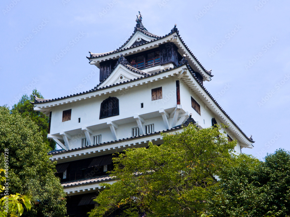 Iwakuni castle is located in Yamaguchi prefecture, Chugoku, Japan.