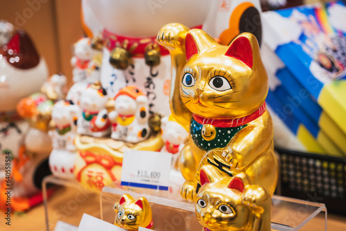 Photography Maneki neko Lucky cat Souvenir shop Craft product Japan traditional gift