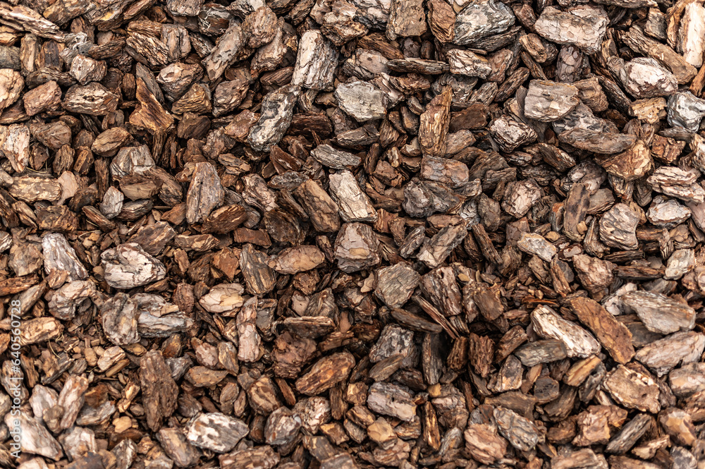 Varieties of bark and features of use as mulch Varieties of bark and features of use as mulch