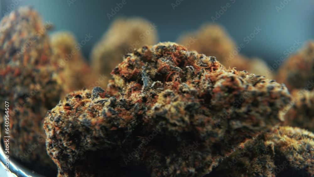 A close up macro cinematic detailed shot of a cannabis plant, orange hybrid strains, Indica and sativa, dark purple marijuana flower, on a rotating stand, slow motion, 4K, professional studio lighting A close up macro cinematic detailed shot of a cannabis plant, orange hybrid strains, Indica and sativa, dark purple marijuana flower, on a rotating stand, slow motion, 4K, professional studio lighting