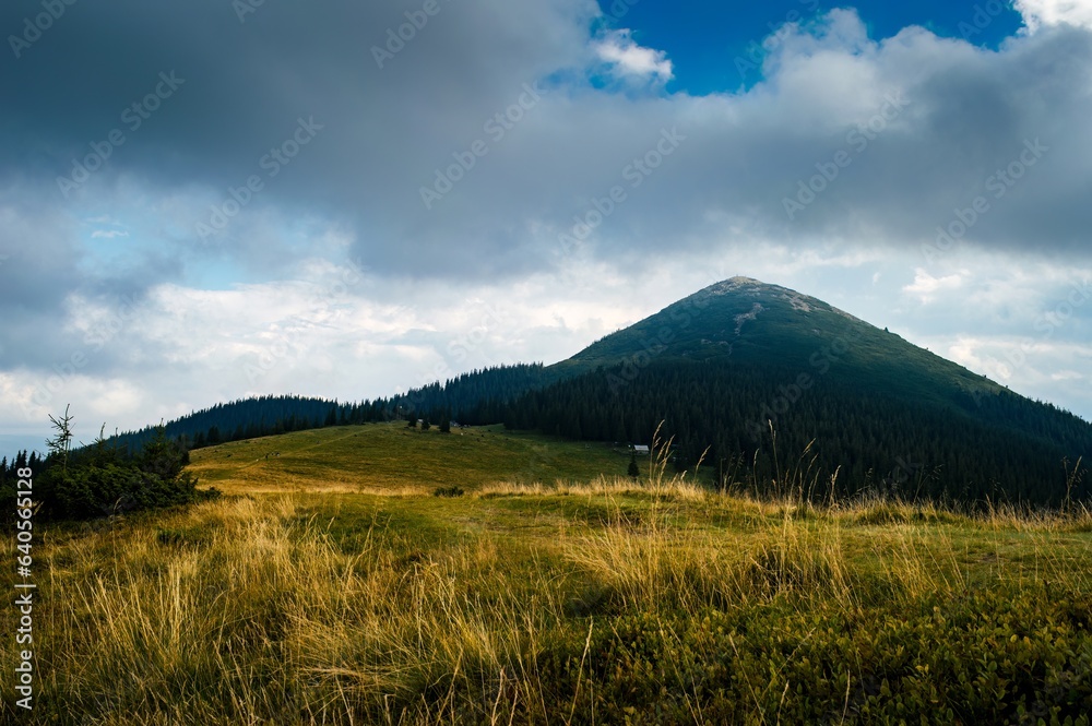 Glade in front of a high mountain Glade in front of a high mountain