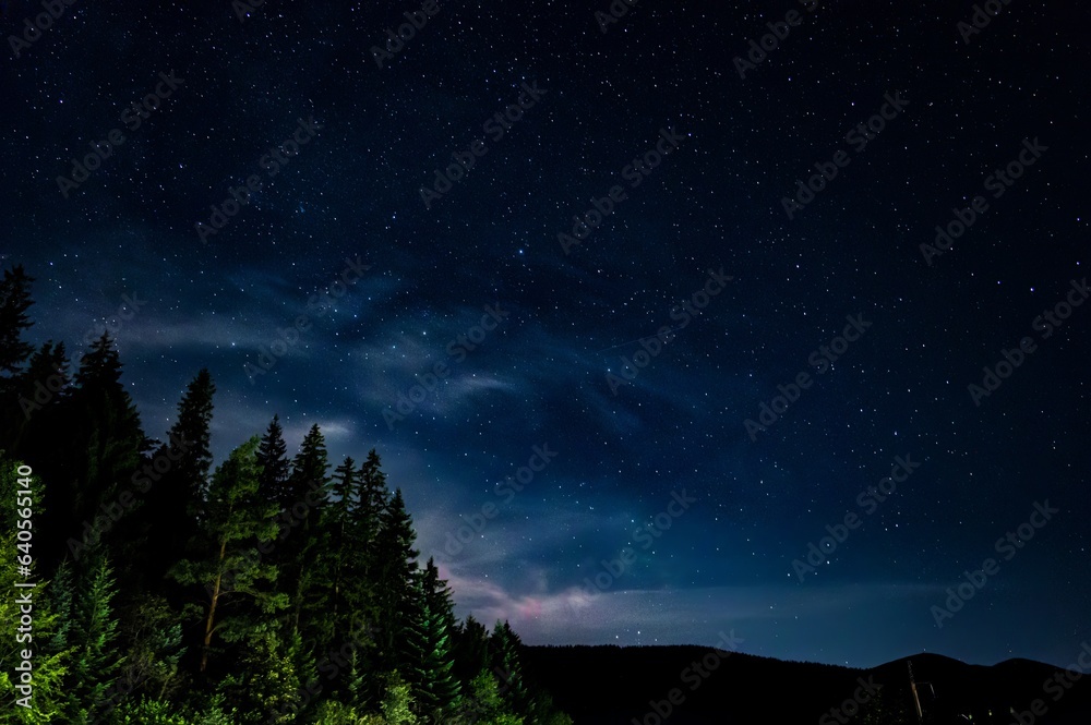 Clouds against the background of the starry sky and pine trees