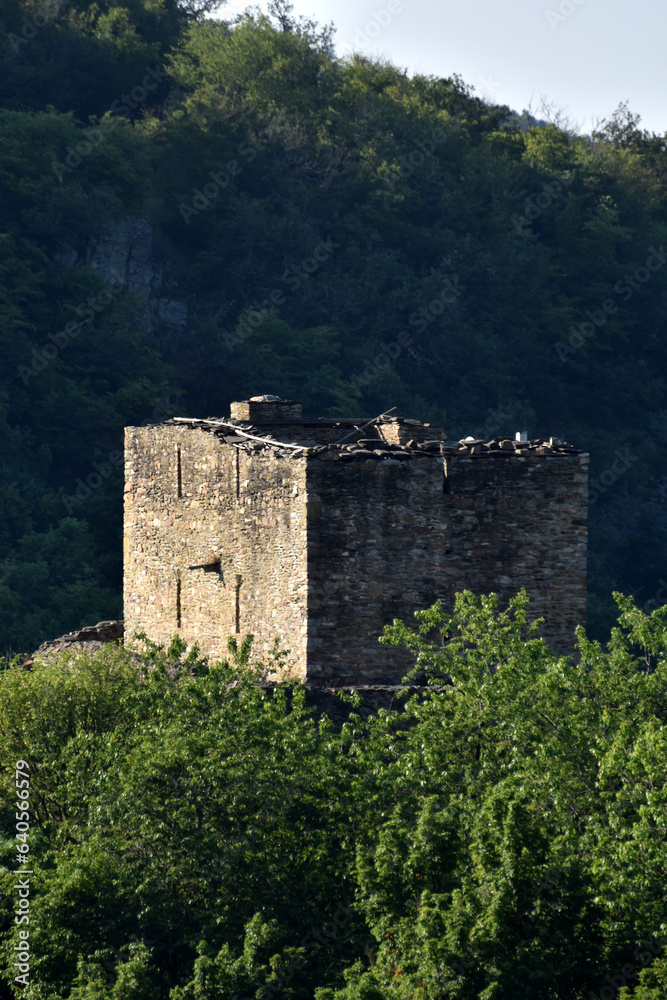 Burgruine Schmidtburg
