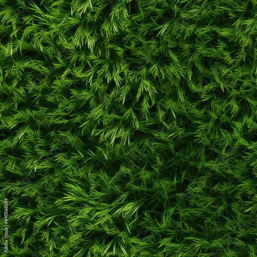 Grass top view  seamless texture