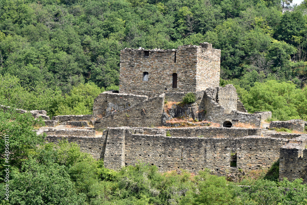 Burgruine Schmidtburg