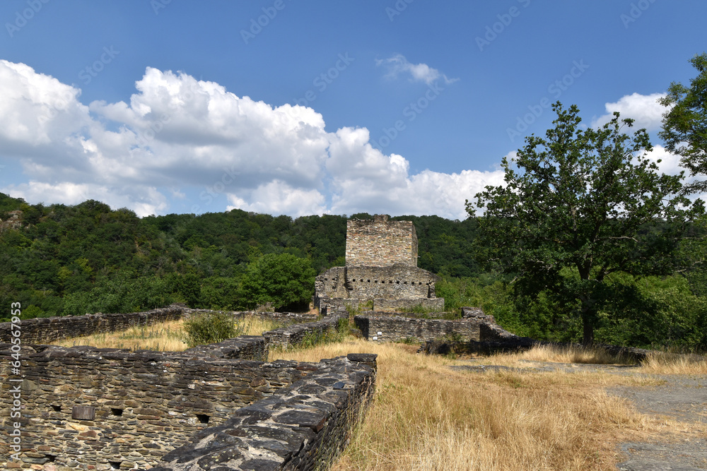 Burgruine Schmidtburg