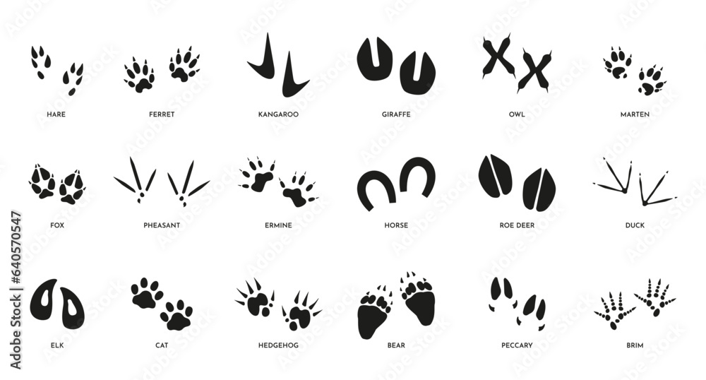 Animal footsteps. Horse fox bear and cat paw track silhouettes, wildlife black footprint icons on white. Vector isolated collection. Different trace shapes in nature, step imprints set