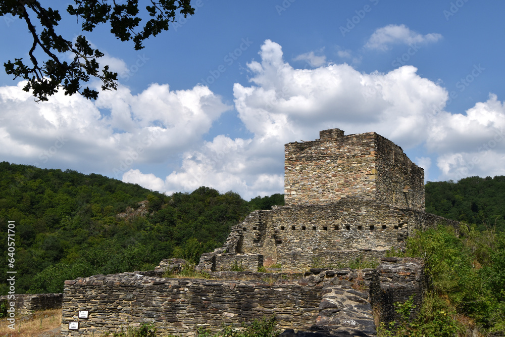 Burgruine Schmidtburg