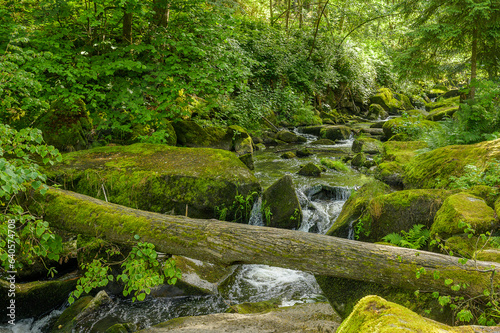 Bachlauf in der Saußbachklamm 225223.jpg