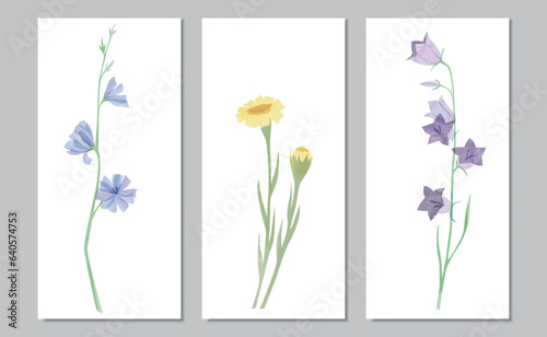 Vector set of watercolor meadow flowers