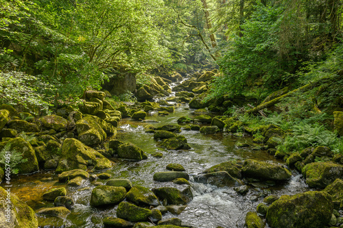 Buchberger Leite im bayerischen Wald 226623.jpg