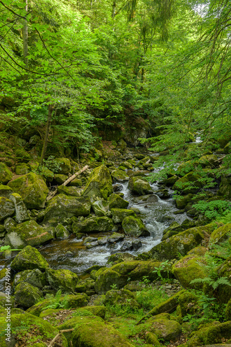 Buchberger Leite im bayerischen Wald 226823.jpg
