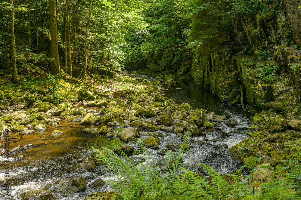 Fototapeta premium Buchberger Leite im bayerischen Wald 229123.jpg
