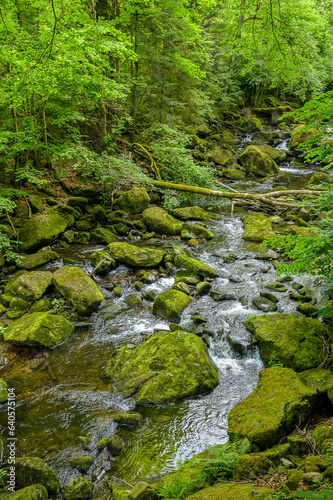 Buchberger Leite im bayerischen Wald 226923.jpg