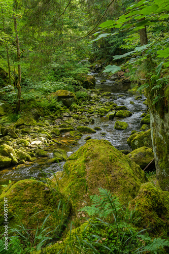 Buchberger Leite im bayerischen Wald 227023.jpg