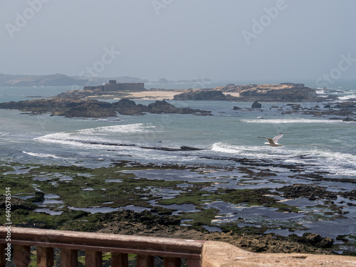 Costa atlántica de la ciudad de Essaouira, en la zona central de Marruecos photo