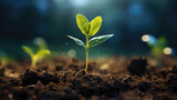 Close young green sprout growing in soil on Green nature blur background