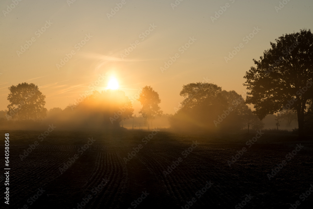 Sonnenaufgang im Moor Sonnenaufgang im Moor