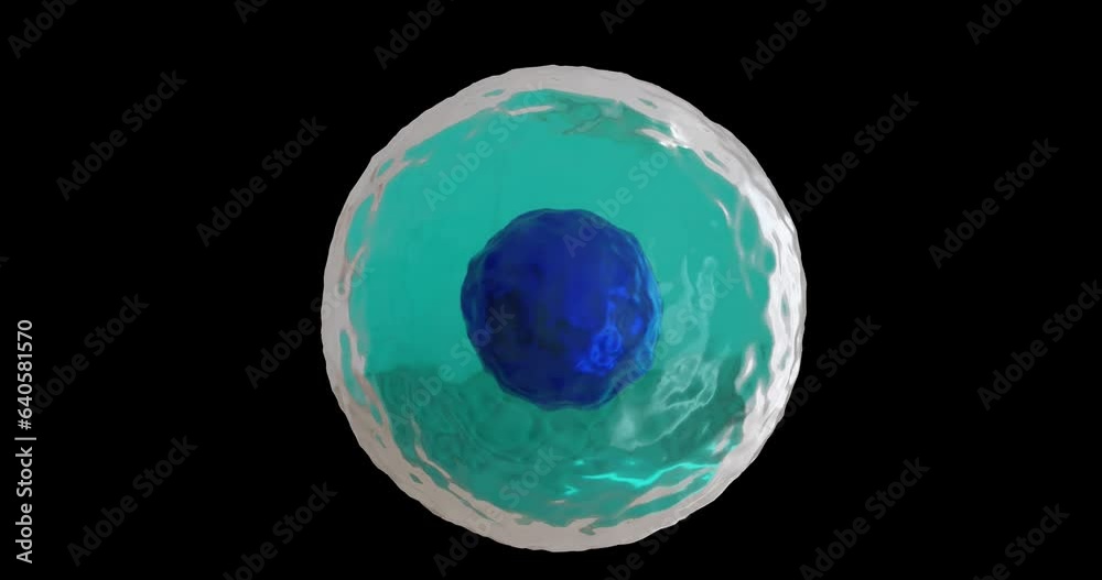Animation of micro of blue and turquoise cell on black background