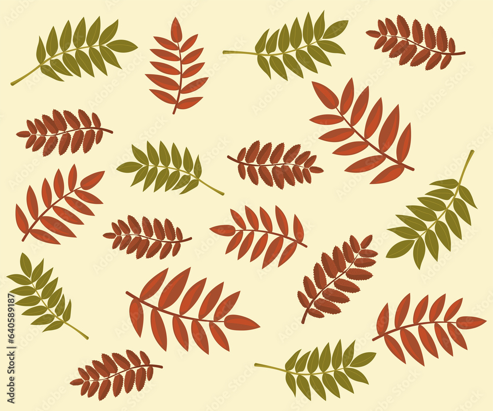 leaf leaf