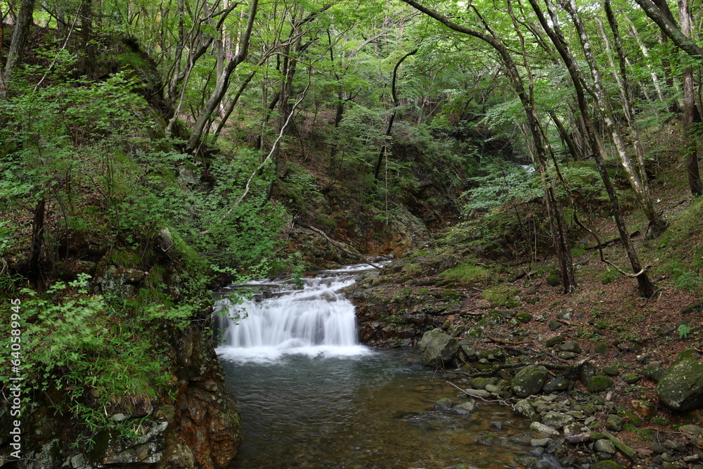 Obraz premium 龍王峡