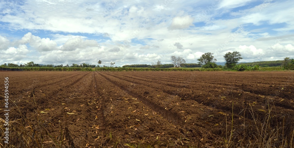 landscape of ground for agriculture landscape of ground for agriculture