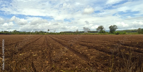 landscape of ground for agriculture