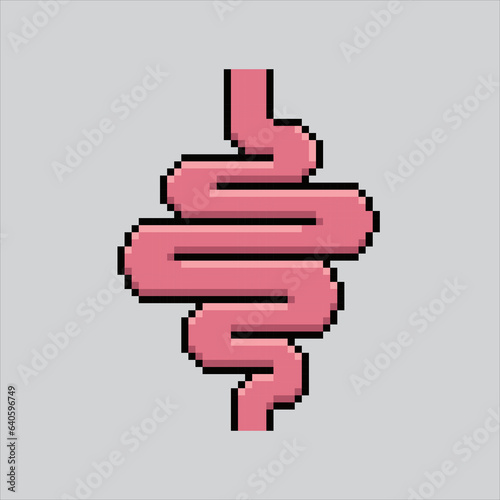 Pixel art illustration Intestine. Pixelated Intestines. Intestines icon pixelated
for the pixel art game and icon for website and video game. old school retro.