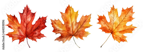 Set of artistic watercolor style autumn leaves isolated on white background. Fall nature elements.