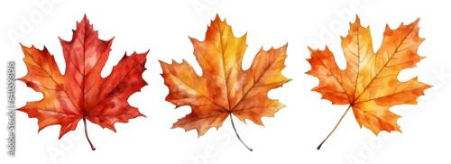 Panel kuchenny z motywem Set of artistic watercolor style autumn leaves isolated on white background. Fall nature elements.